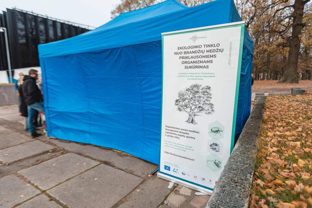 Ąžuolyno gamtotvarkos darbų pristatymas
