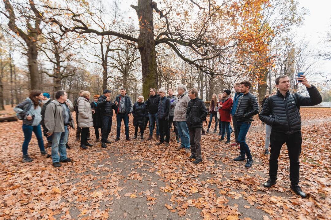 Ąžuolyno gamtotvarkos darbų pristatymas