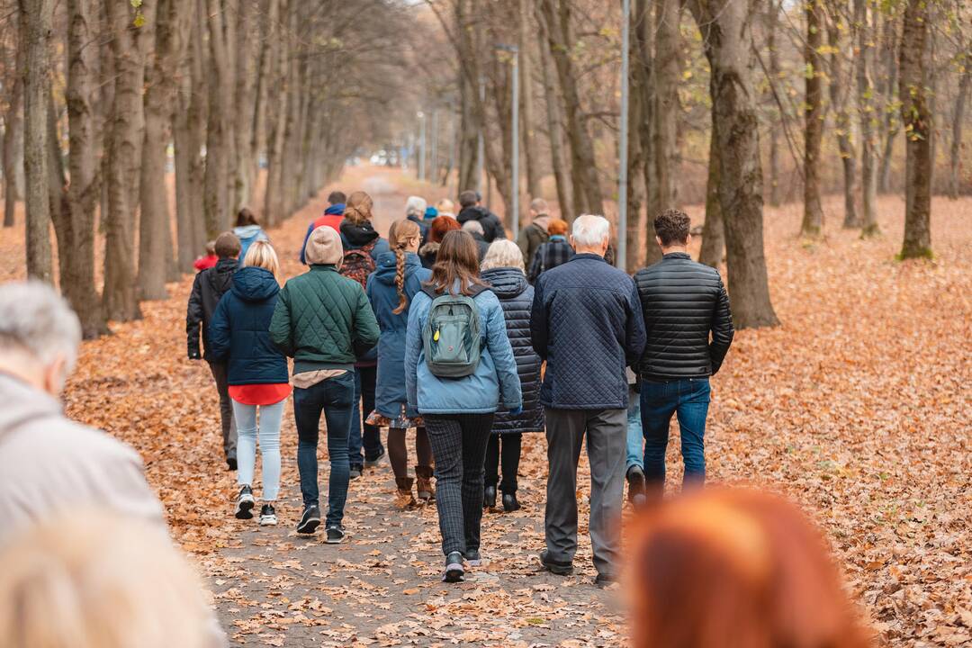 Ąžuolyno gamtotvarkos darbų pristatymas