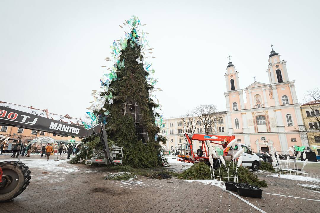 Žmonės plūsta prie apdegusios Kauno eglės
