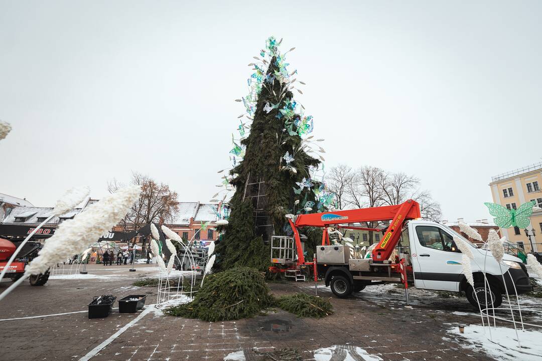 Žmonės plūsta prie apdegusios Kauno eglės