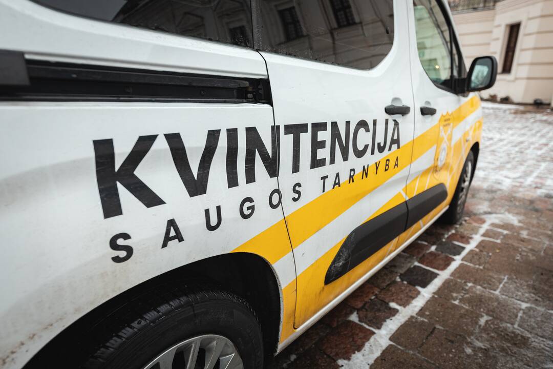 Žmonės plūsta prie apdegusios Kauno eglės