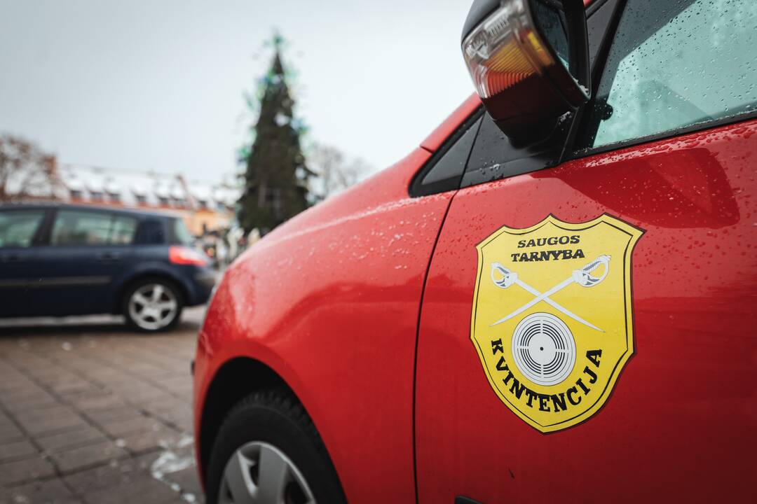 Žmonės plūsta prie apdegusios Kauno eglės