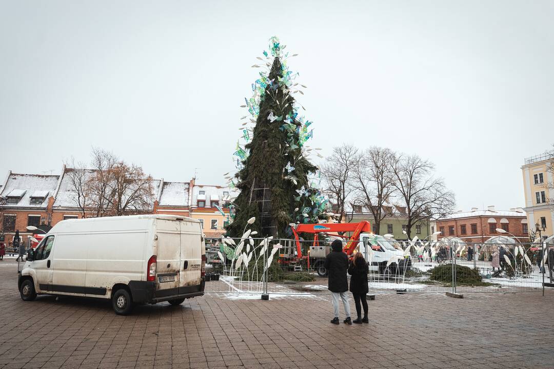 Žmonės plūsta prie apdegusios Kauno eglės
