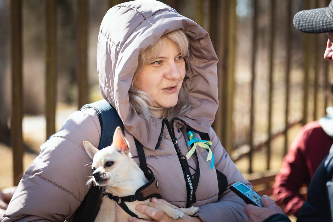 Ukrainiečiai renginyje Aleksote