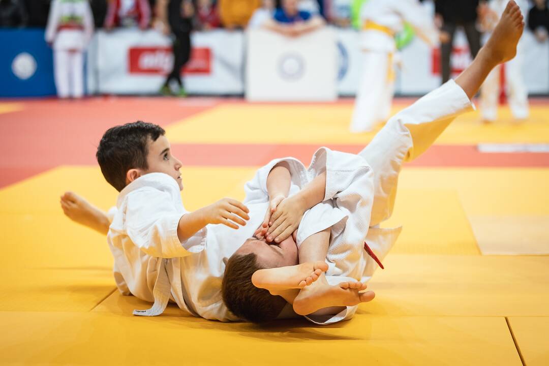 Tarptautinis „Budoka“ dziudo turnyras