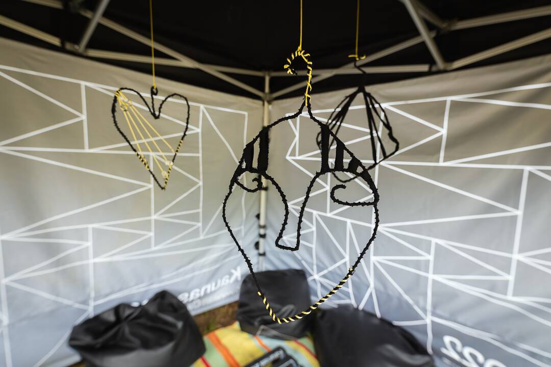 "Audros" festivalis Ąžuolyne