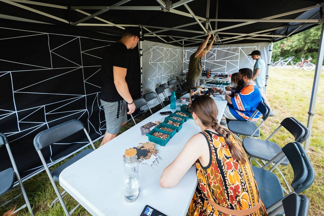 "Audros" festivalis Ąžuolyne