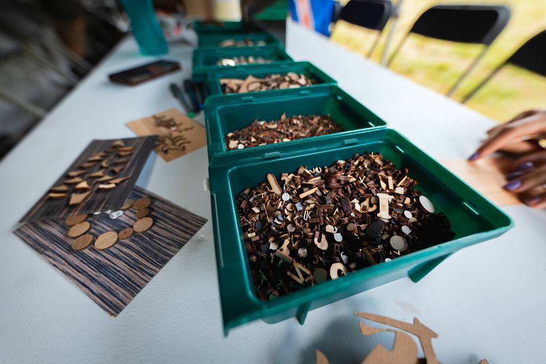 "Audros" festivalis Ąžuolyne