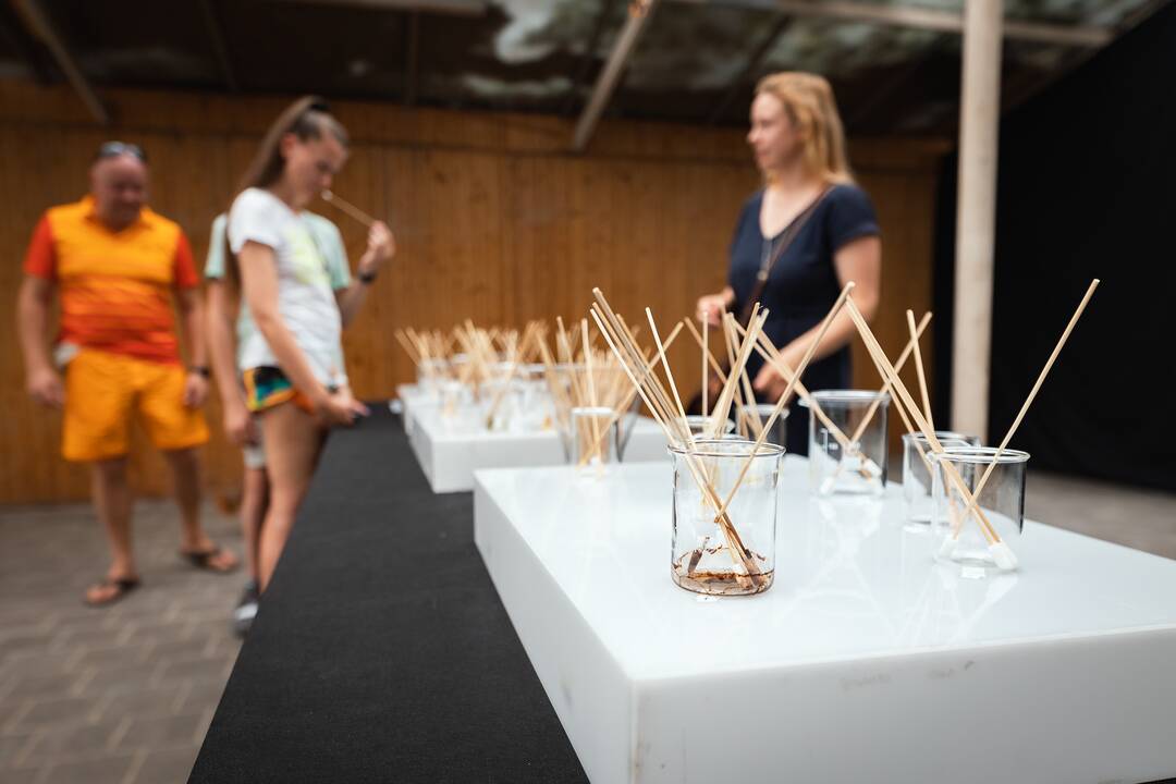 "Audros" festivalis Ąžuolyne