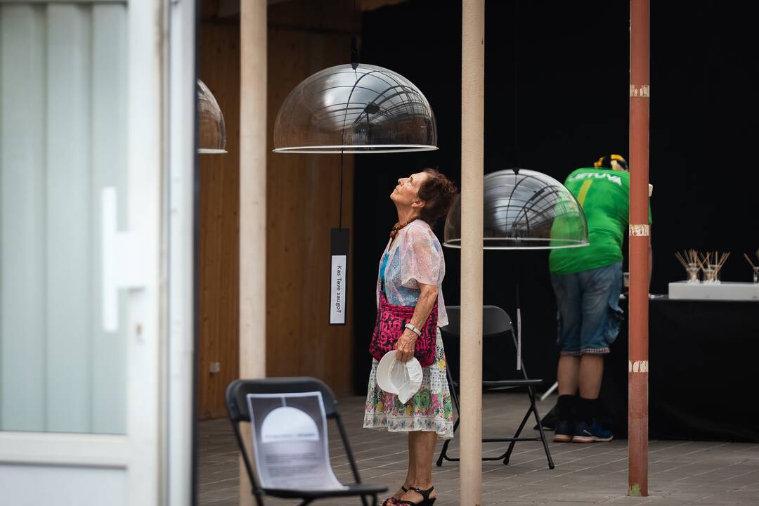 "Audros" festivalis Ąžuolyne