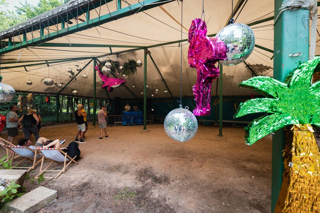 "Audros" festivalis Ąžuolyne