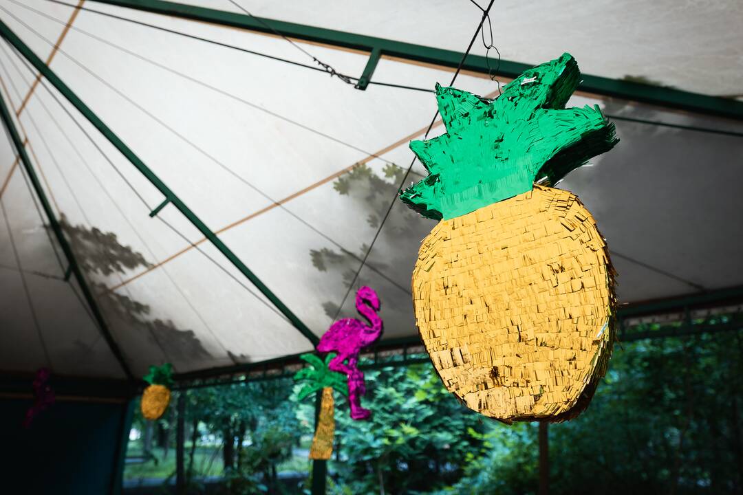 "Audros" festivalis Ąžuolyne