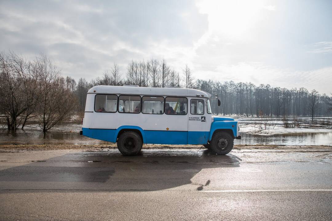 Potvynis pamaryje