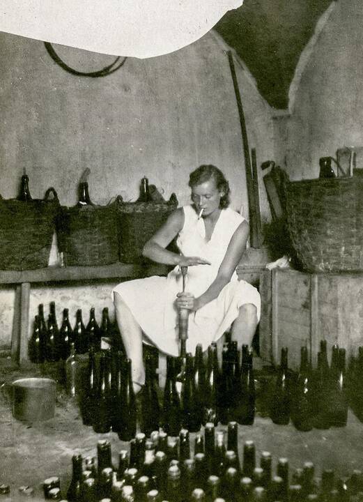 Istorija: Vilniaus spirito ir degtinės gamykla 1950 m.