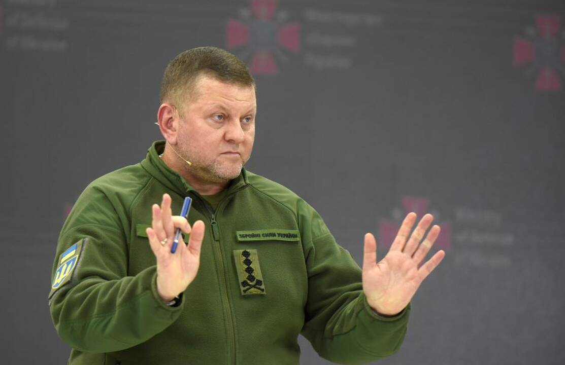 Kalbos apie Ukrainos kariuomenės vado atleidimą atskleidžia nesutarimus šalies vadovybėje