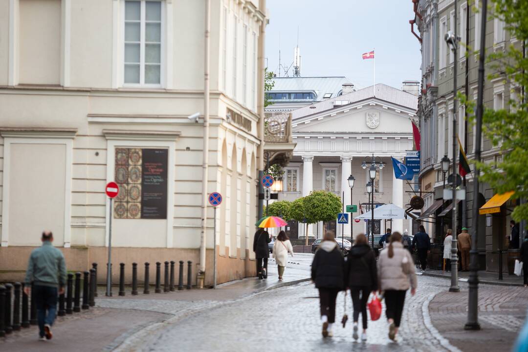 Vilniuje vyks tarptautinė konferencija apie atgrasymą ir gynybą