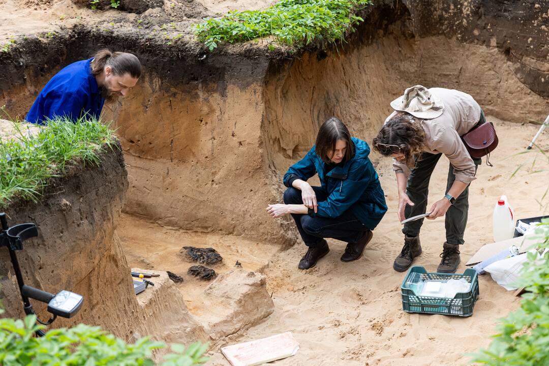 Verkių dvarvietėje pristatomas archeologinis atradimas