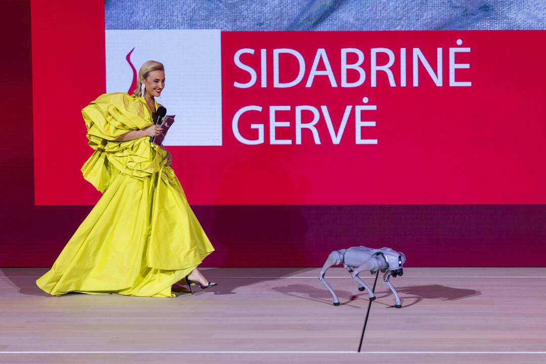 „Sidabrinė gervė 2024“ ceremonija