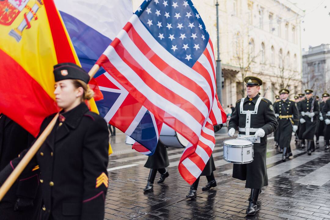 Vilniuje paminėta Lietuvos kariuomenės diena