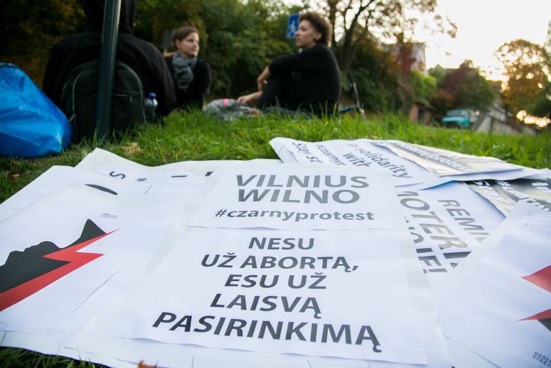 Abortus įteisinančio įstatymo pateikimas atidėtas kitam Seimo posėdžiui