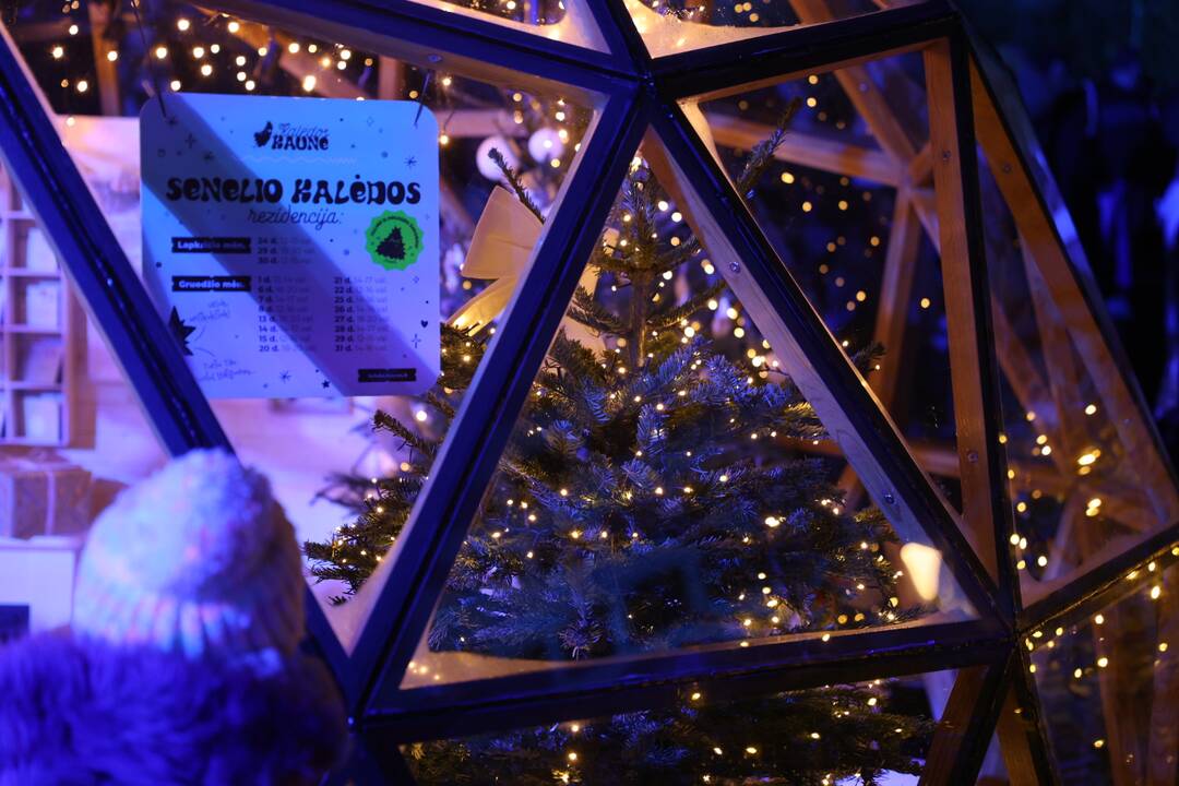 Kauno kalėdinės eglės įžiebimo koncerte – minios žmonių