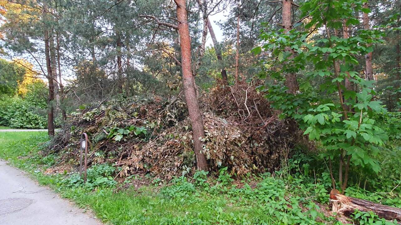 Pavadinimai: skaitydamas iškabas ir informacinius stendus miesto svečias nesuprastų, kaip vadinasi parkas.