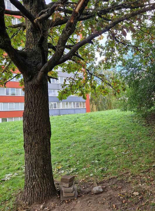 Planai: Baltijos pr. 45 namo siena byra, jai, kaip ir visam namui, reikalingas atnaujinimas.