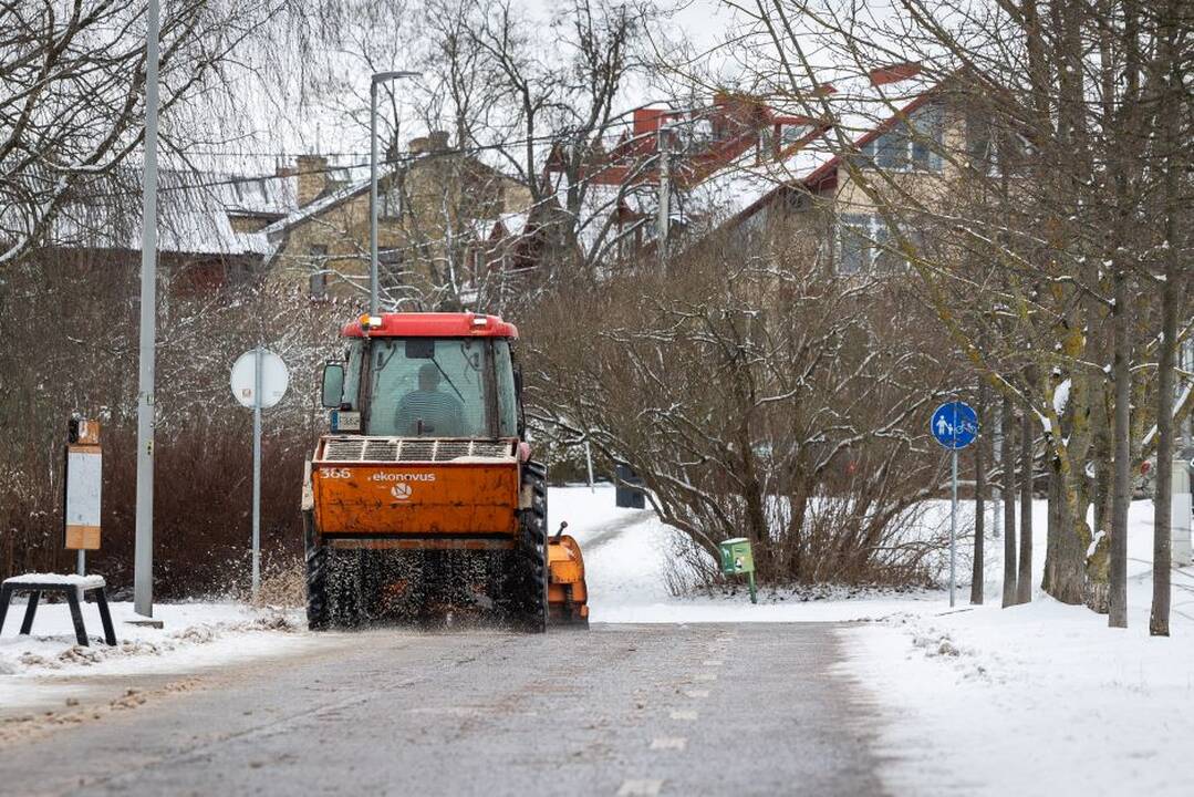 Sostinėje – retas šios žiemos reiškinys