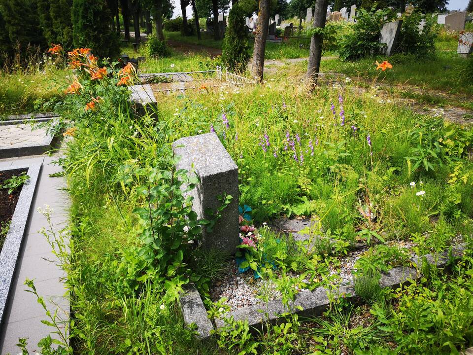 Priemonė: sutvarkyti apleistus kapus žmones paskatino pradėtas viešai skelbti neprižiūrimų kapaviečių sąrašas.