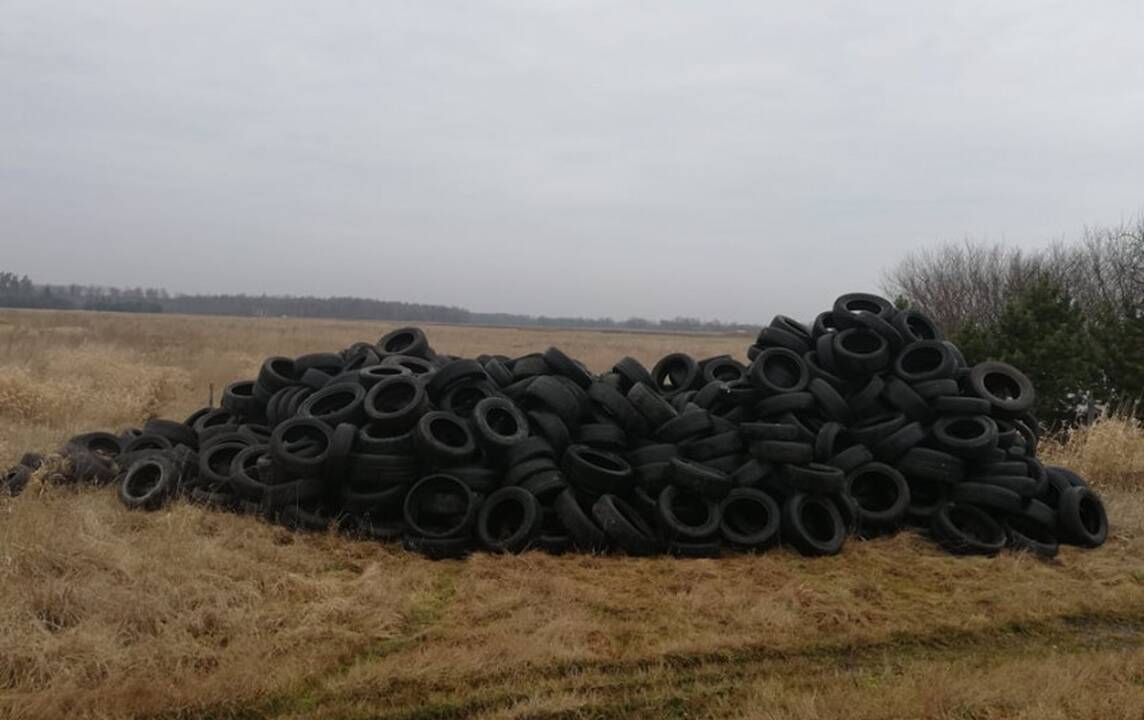 Kainuos: tokią padangų krūvą sukrovusiam piliečiui teks sumokėti 2,3 tūkst. eurų baudą.