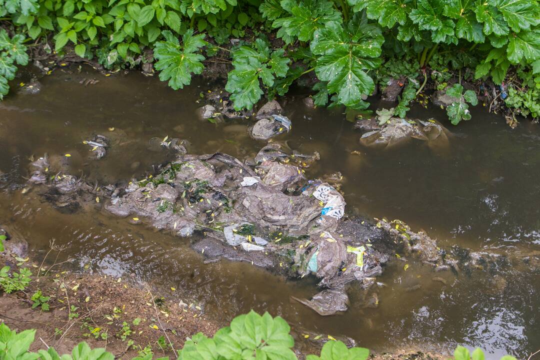 Galimybė: apie gamtosaugos pažeidimus gali informuoti bet kuris, pastebėjęs situaciją, kuri kelia grėsmę.