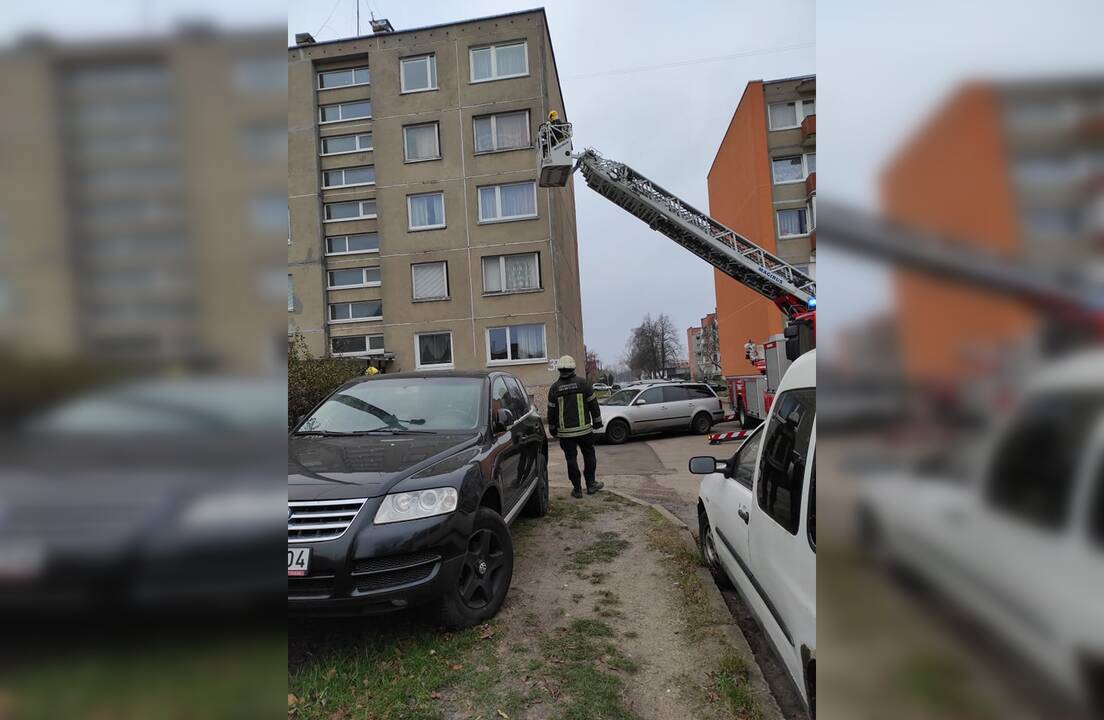 Tarnyba: ugniagesiai gaišo savo darbo laiką ir, paprašyti gyvūnų prieglaudos darbuotojų, kilo kopėčiomis ant stogo.