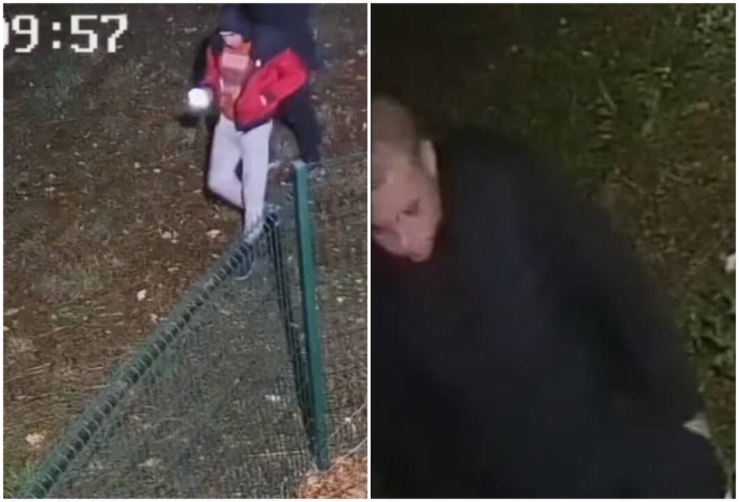 Alytuje sugadintas svetimas turtas: policija prašo pagalbos atpažįstant asmenis vaizdo įraše