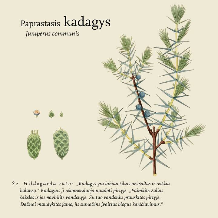 Tęstinumas: J.Bernotienė (kairėje) ir O. Grigaitė akcentuoja – šv. Hildegarda propagavo ne tik pamaldumą, bet ir beribį gyvenimo džiaugsmą.