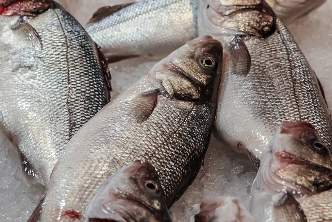 Lietuvos maisto gamintojai vertina eksporto galimybes į Taivaną