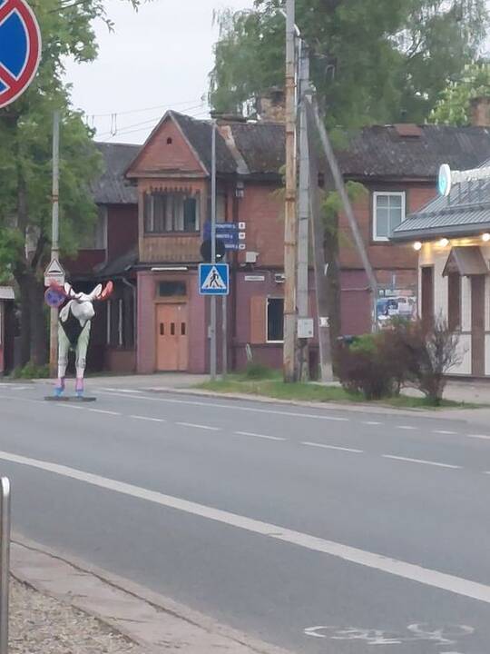 Dekoratyviniai briedžiai Žvėryne.