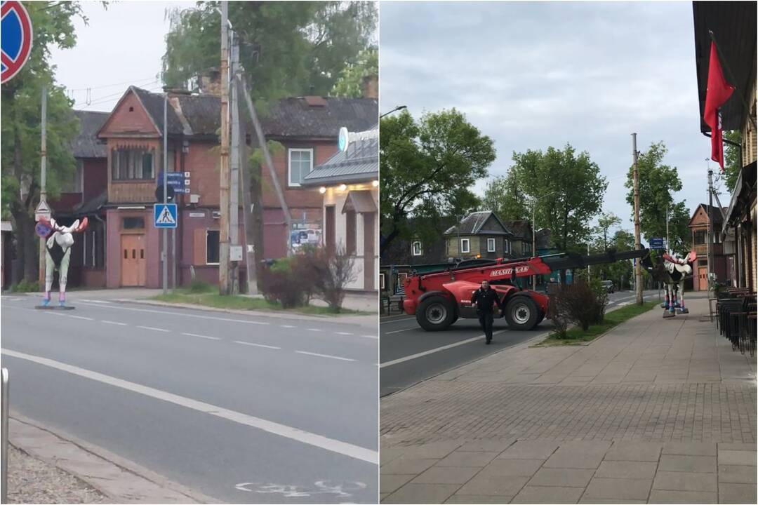 Dekoratyviniai briedžiai Žvėryne.