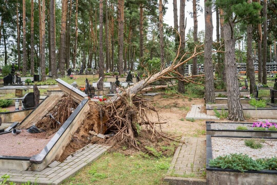 Praūžusi audra nusiaubė ir Panevėžio kapines: išvartyti paminklai, nuvirto medžiai.