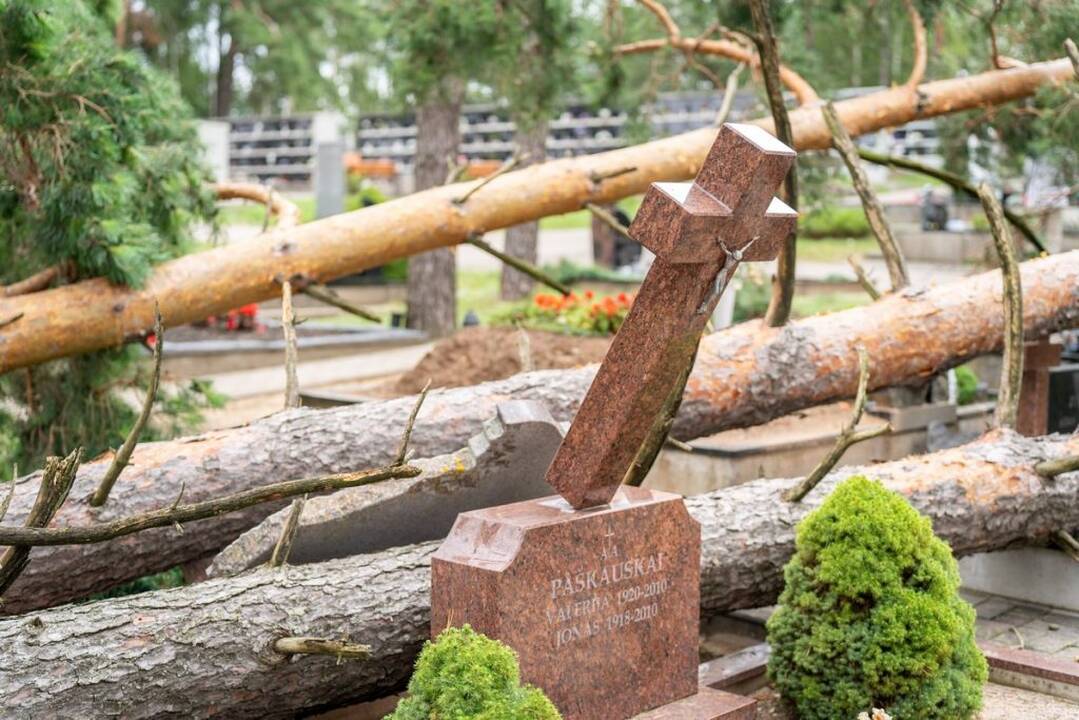 Praūžusi audra nusiaubė ir Panevėžio kapines: išvartyti paminklai, nuvirto medžiai.