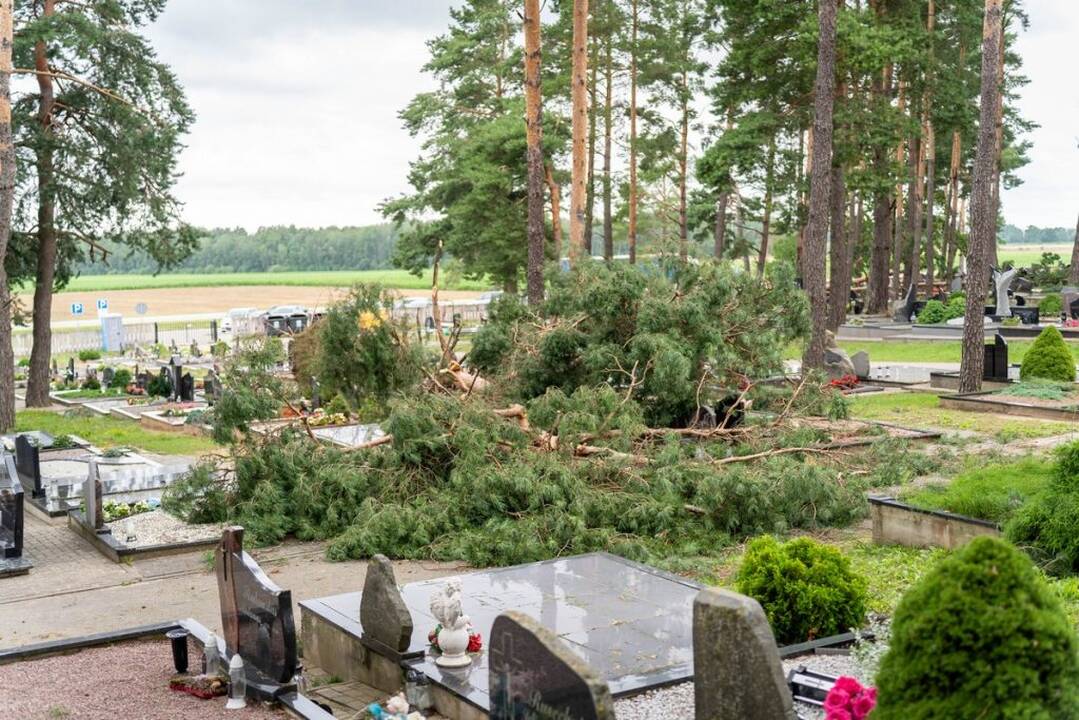 Praūžusi audra nusiaubė ir Panevėžio kapines: išvartyti paminklai, nuvirto medžiai.