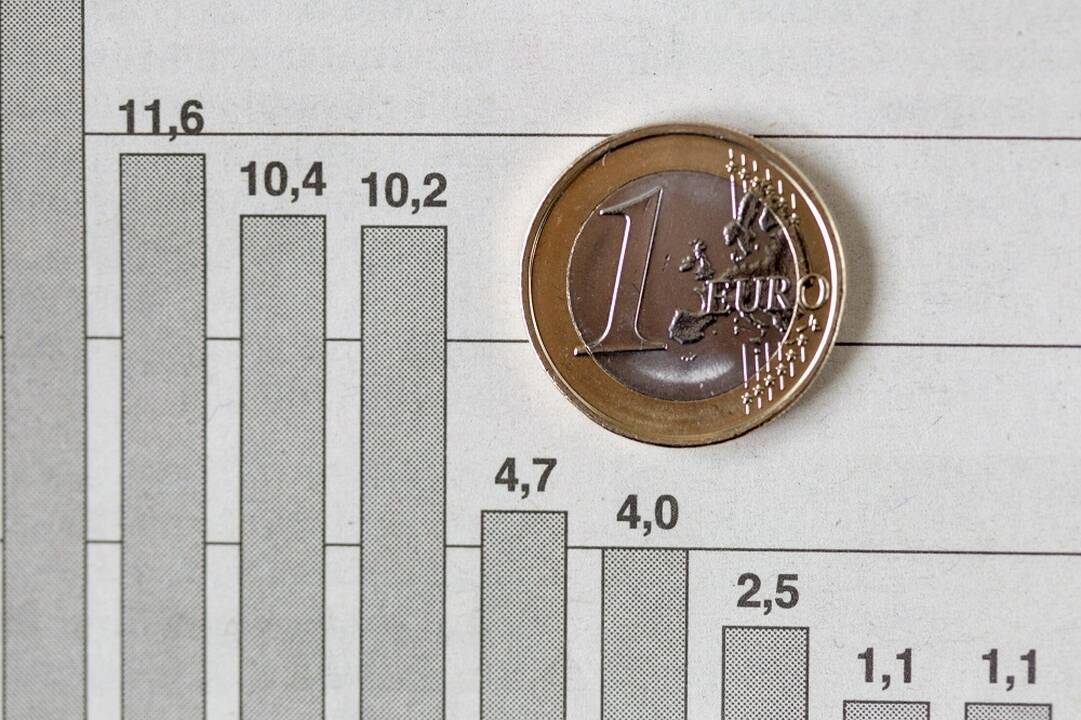 Verslo angelų fondams vadovaus D. Rakauskaitė