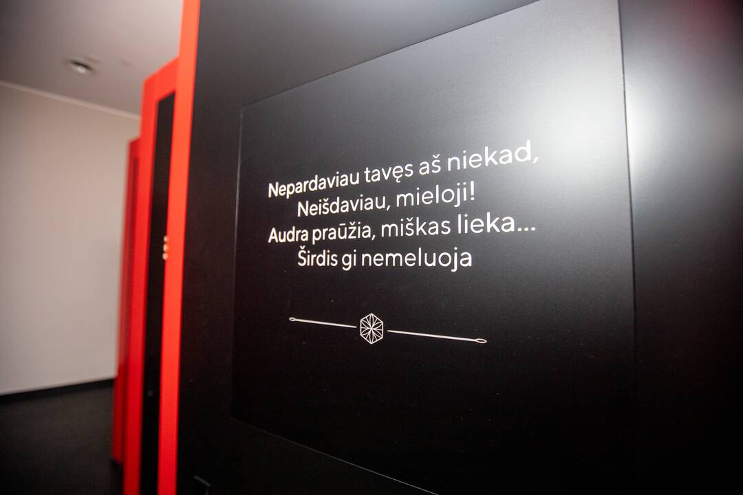 Europos muziejų naktis Maironio muziejuje