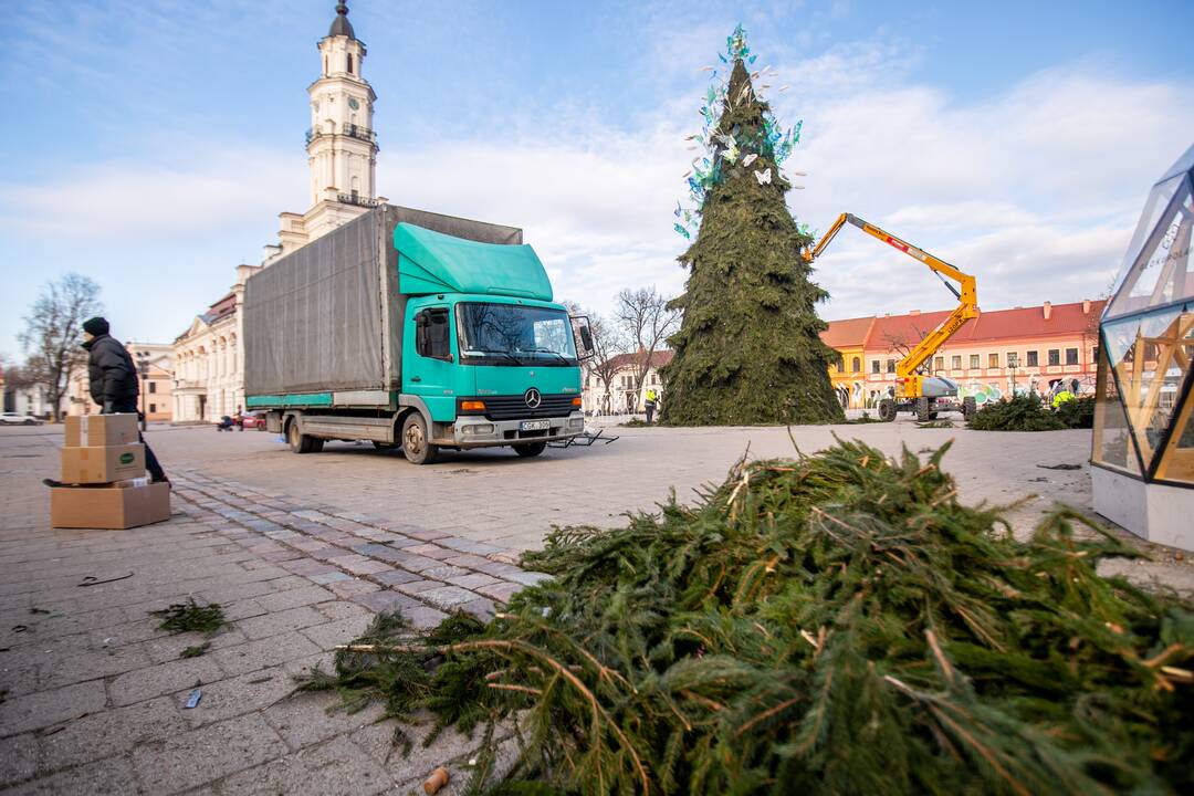 Nupuošiama Kauno kalėdinė eglė