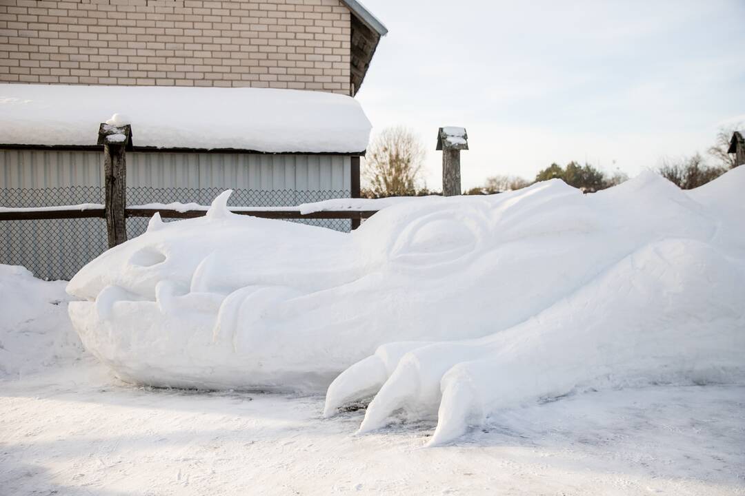 Sniego drakonas Raudondvaryje