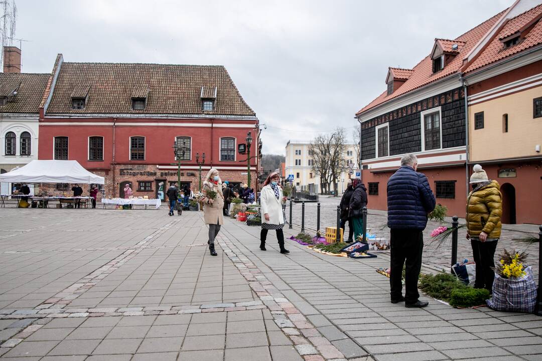 Verbų sekmadienis Kauno senamiestyje
