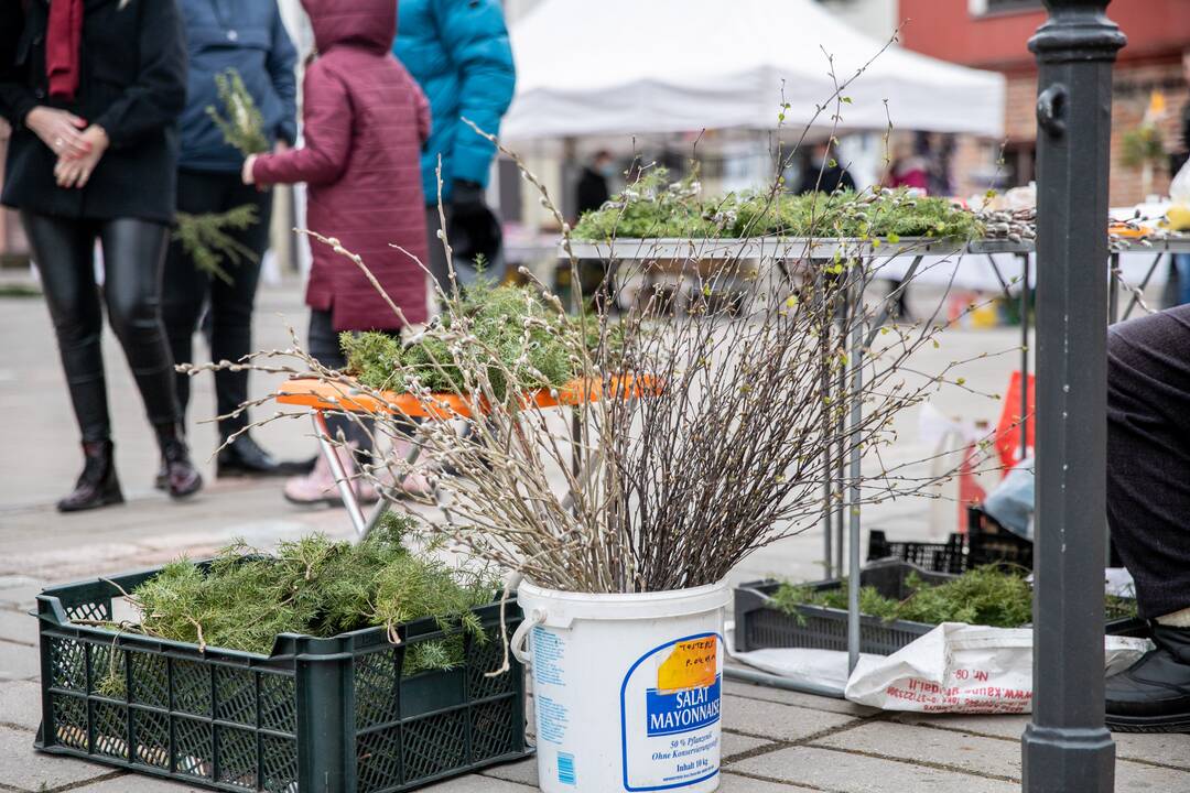 Verbų sekmadienis Kauno senamiestyje