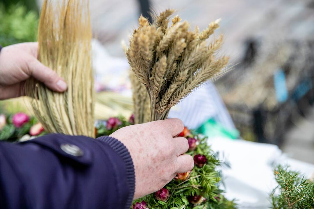 Verbų sekmadienis Kauno senamiestyje