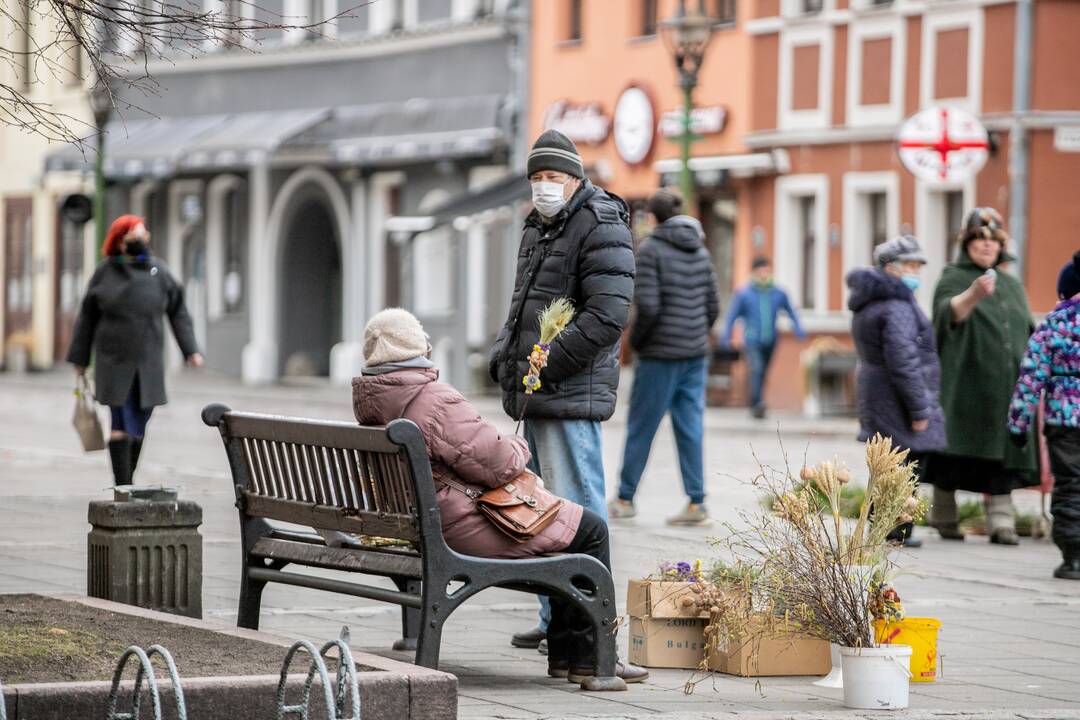 Verbų sekmadienis Kauno senamiestyje