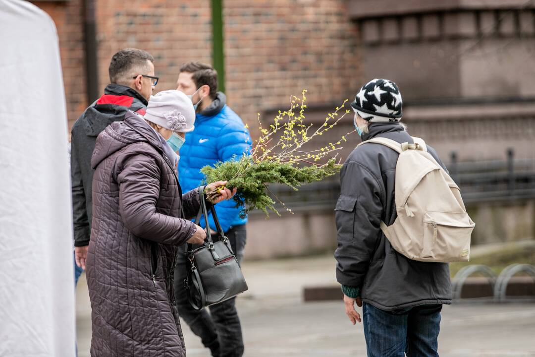 Verbų sekmadienis Kauno senamiestyje
